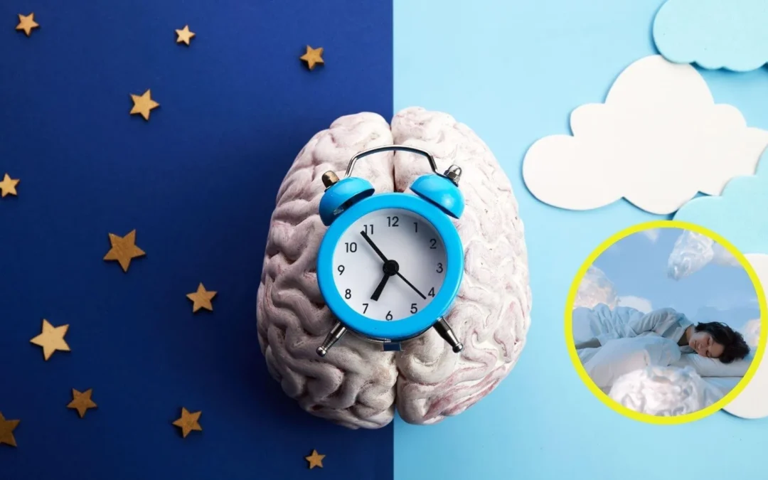 El ciclo circadiano: ¿cuándo hay que dormir?